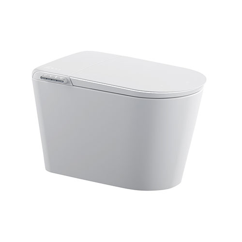 Floor Standing Smart Toilet BCMBZ03-W