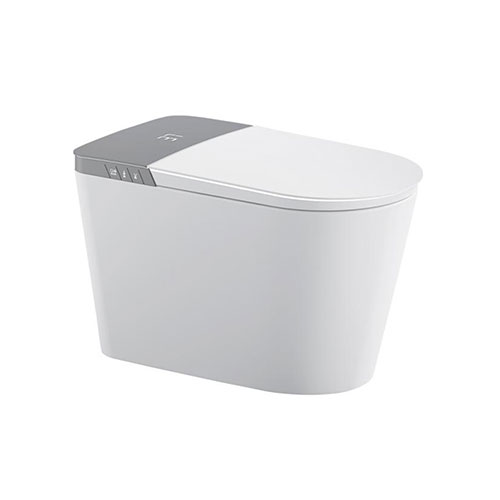 Floor Standing Smart Toilet BCMBZ37-W